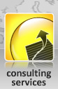 Consulting Services